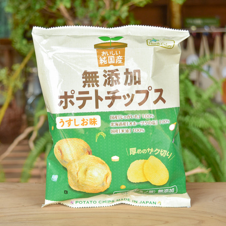 ノースカラーズ 純国産ポテトチップス うす塩